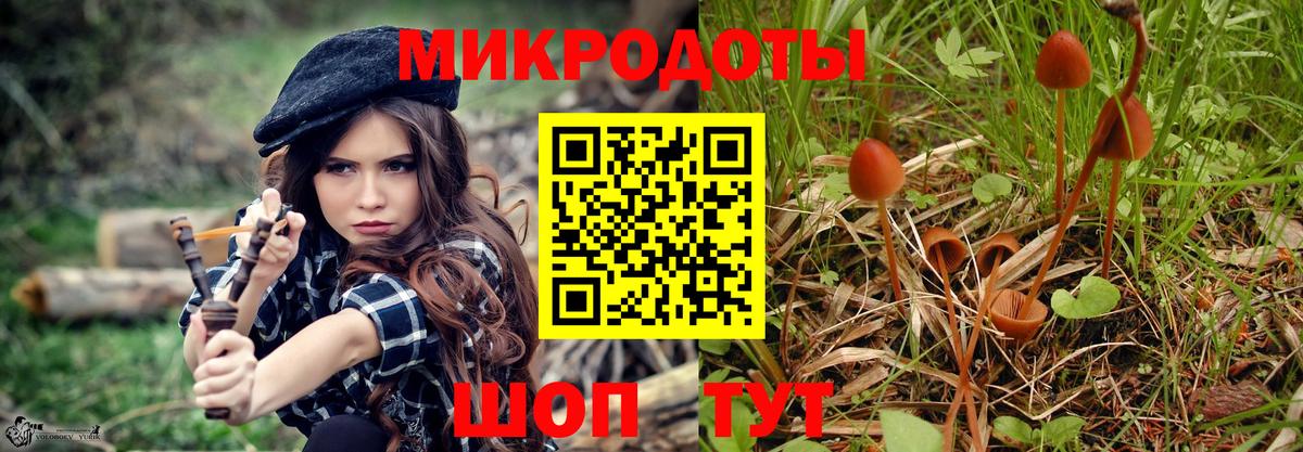 Ейск  Псилоцибиновые грибы GOLDEN TEACHER  Псилоцибиновые грибы мицелий  Вход с VPN 